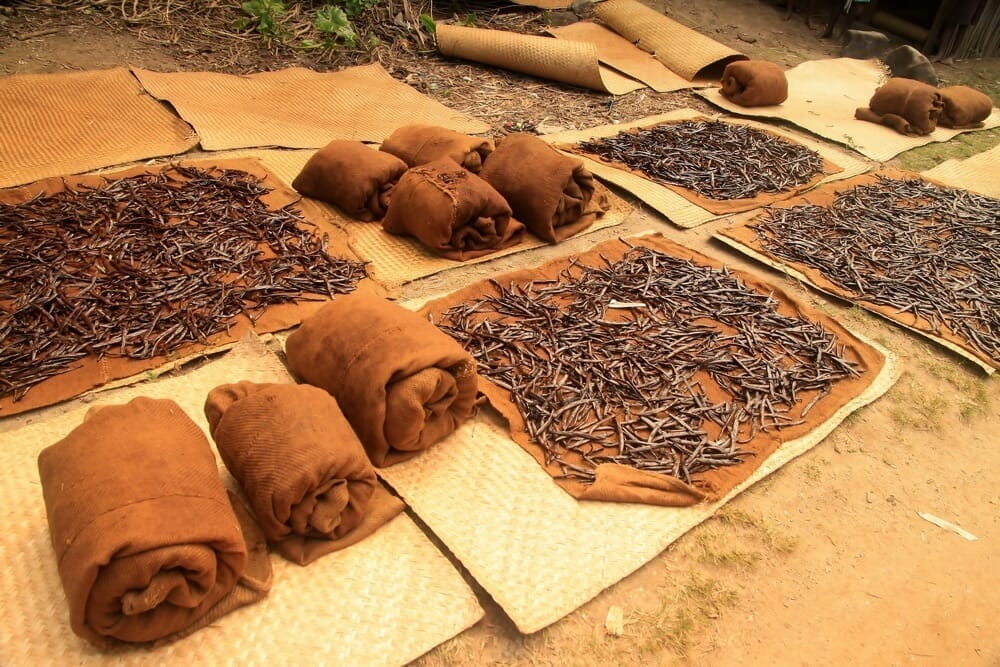 Madagaskar_Vanille_Klueger_Reisen