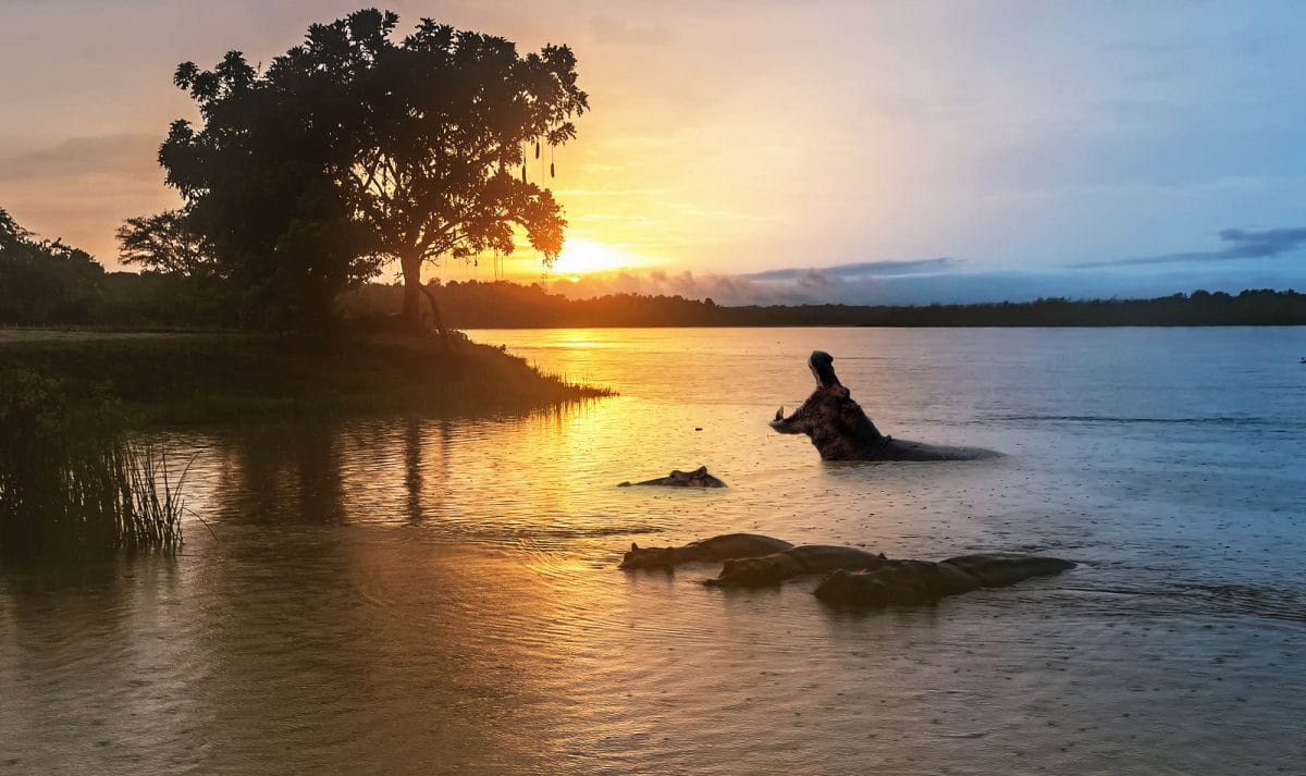 Uganda_Murchison_Nationalpark_Nil_Klueger_Reisen