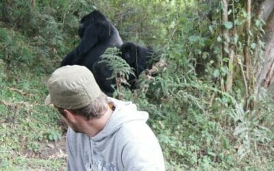 Uganda_Gorilla_Trekking_Klueger_Reisen