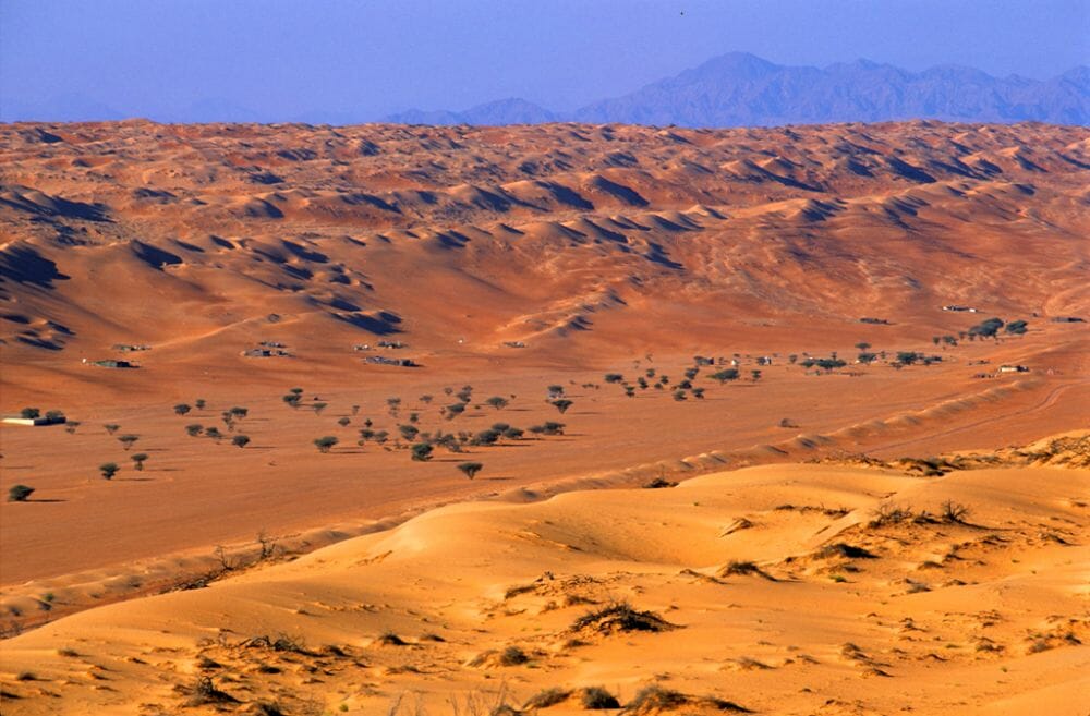Oman_Wueste_Klueger_Reisen Oman_Wueste_Klueger_Reisen