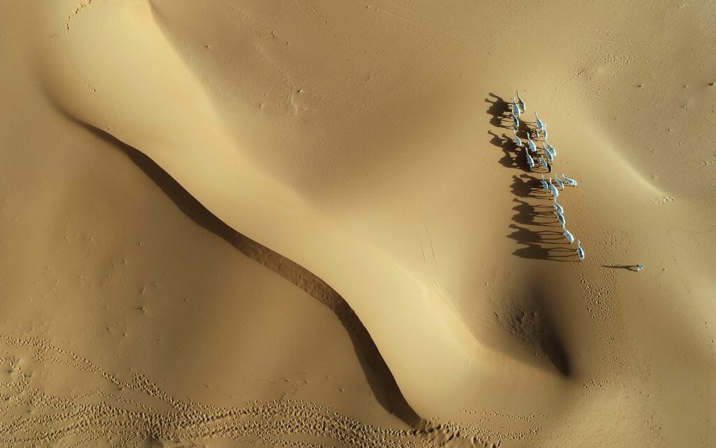 Saudi_Arabien_bei_Riad_Klueger_Reisen