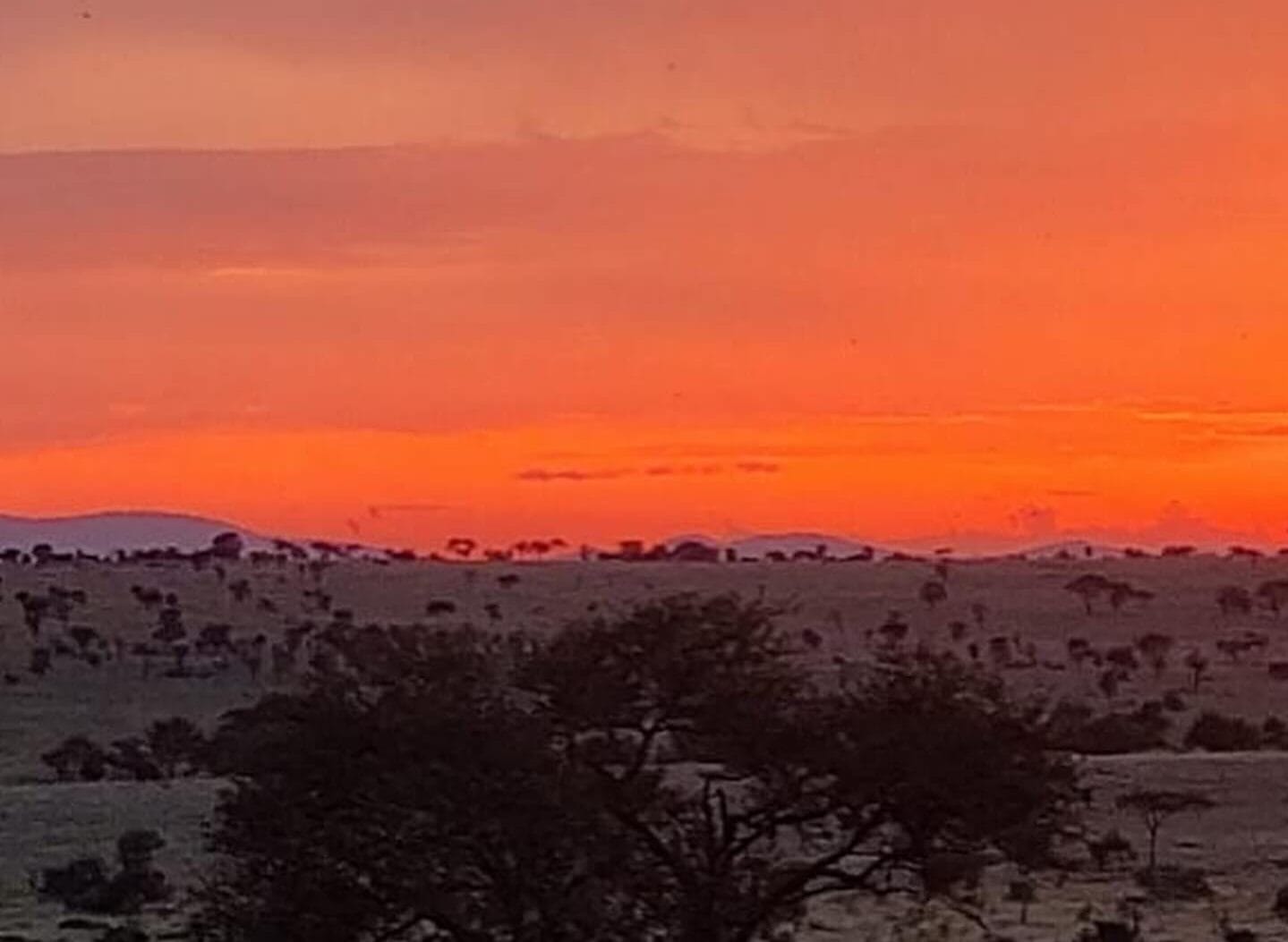 Tansania_Fly_In_Serengeti_Klueger_Reisenngeti_von_Sansibar_ Tansania_Fly_In_Serengeti_Klueger_Reisen