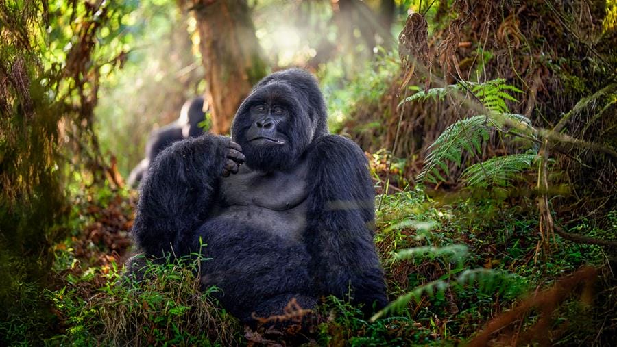 Uganda_Fotoreise_Martin_Buschmann_Reisefotografie_Klueger_Reisen