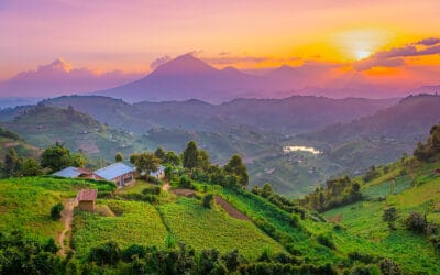 Uganda_Highlands_Gorilla_Trekking_Klueger_Reisen