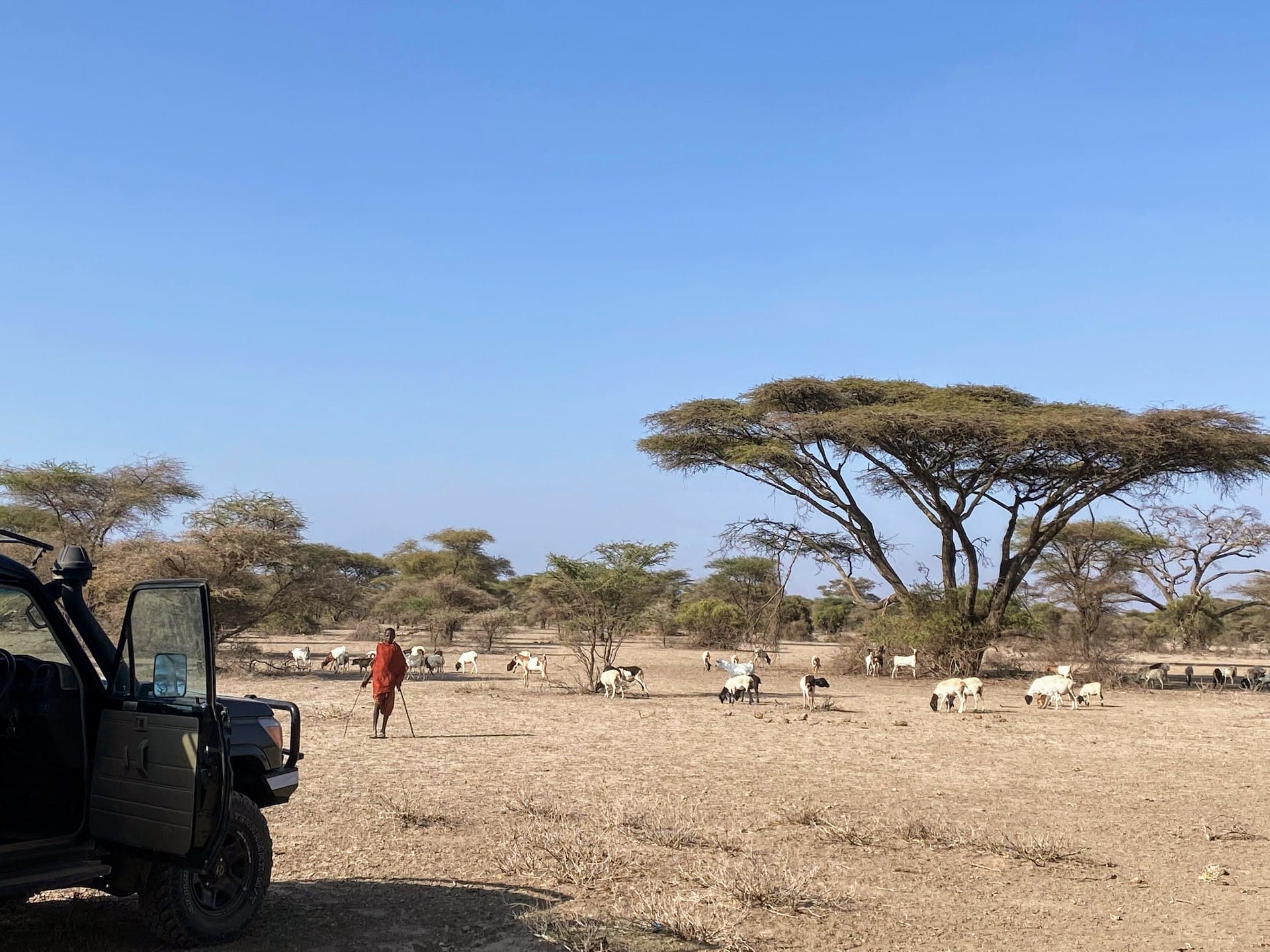 Tansania_Foto 12_Maasai