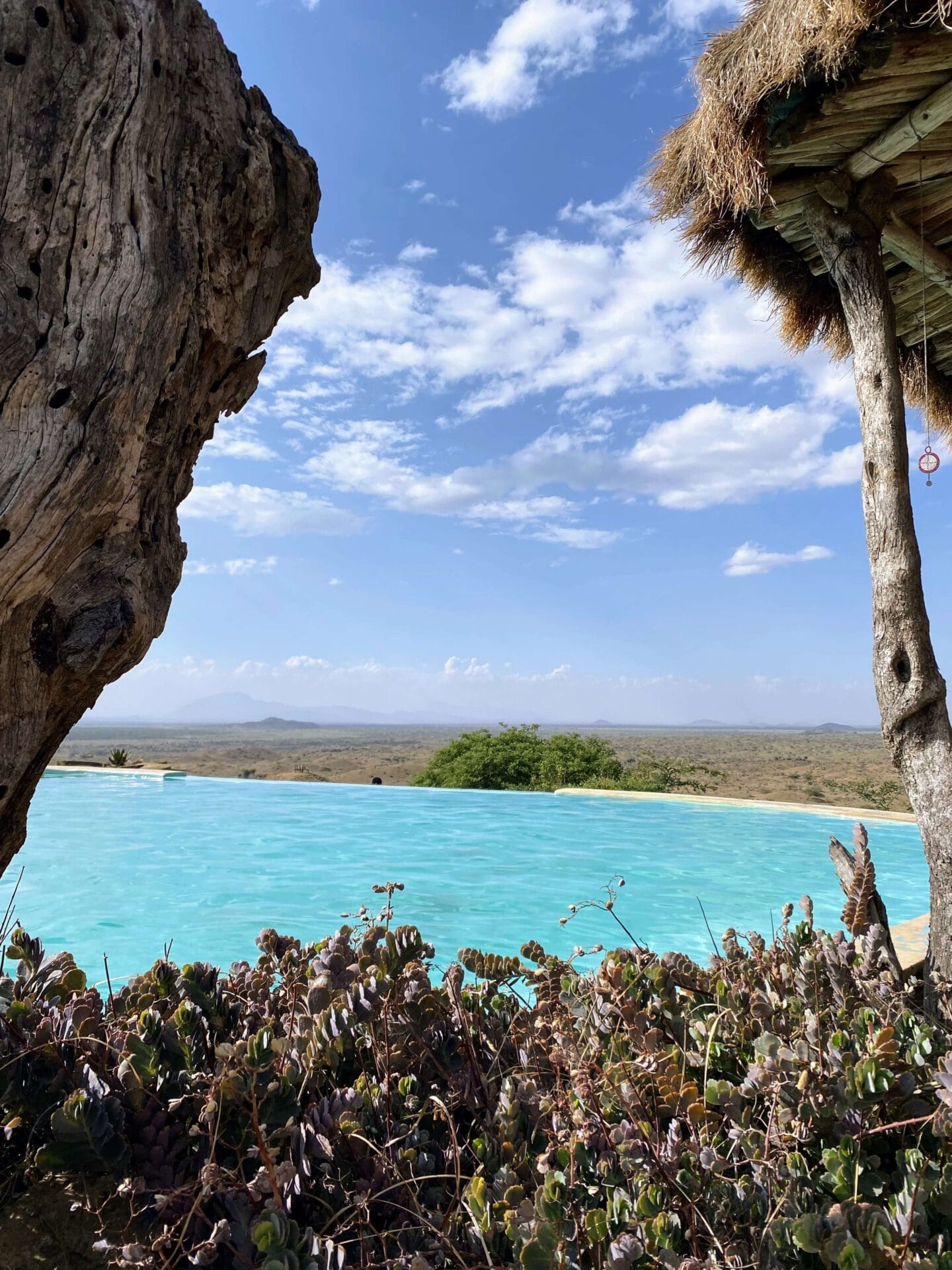 Tansania_Foto_3_Amini Tansania_Walking_Safari_Klueger_Reisen